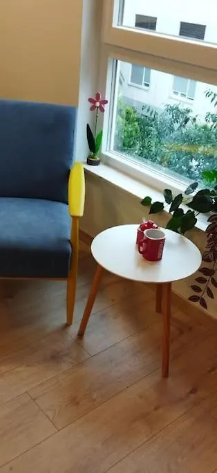 Cute Apartment Marla Art Close To Center プーラ 0*,